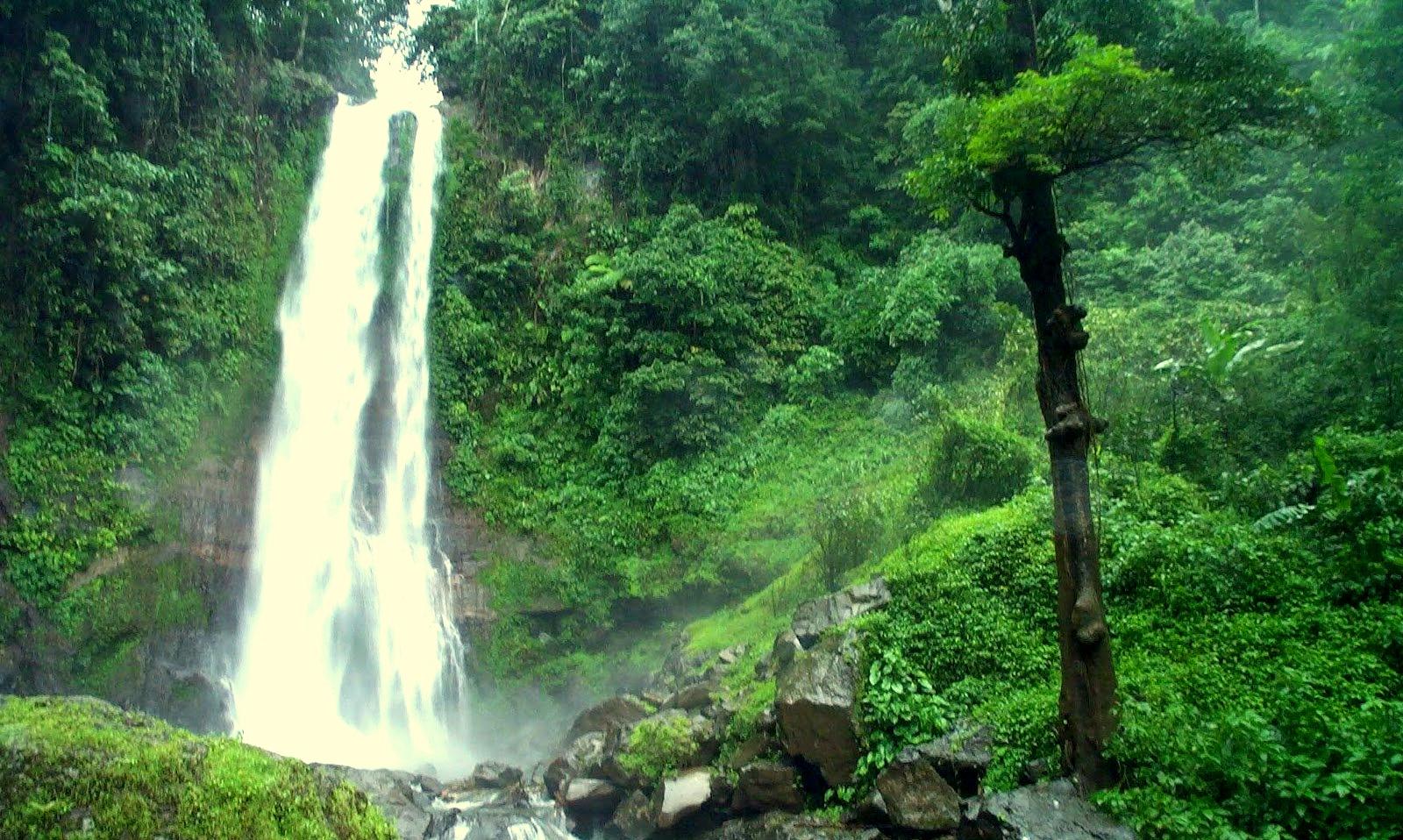 Air Terjun Gitgit